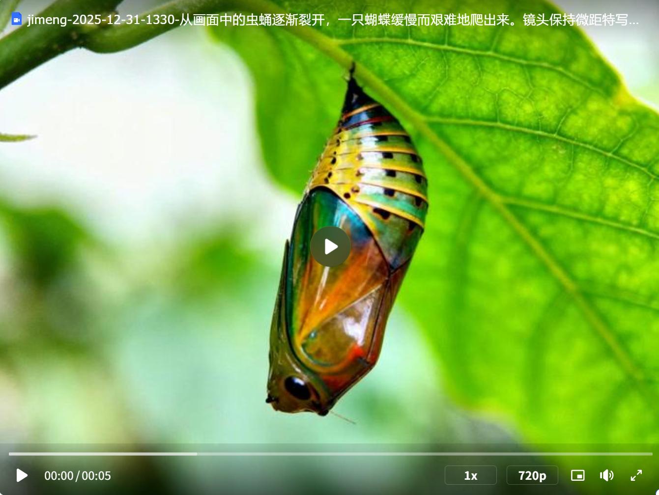 AI视频生成工具_即梦AI课件动画_Luma api