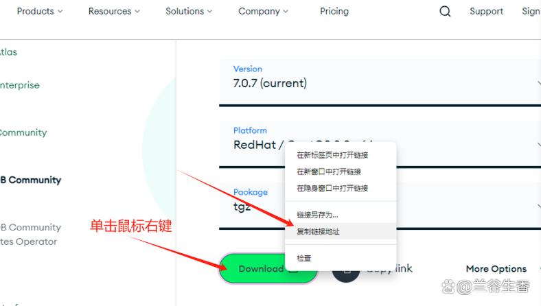 mongodb api 企业自建API成本高？MongoDB API方案降低开发难题