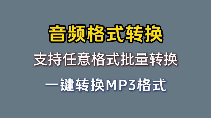 视频文案提取软件_语音转文字工具_文本转语音api