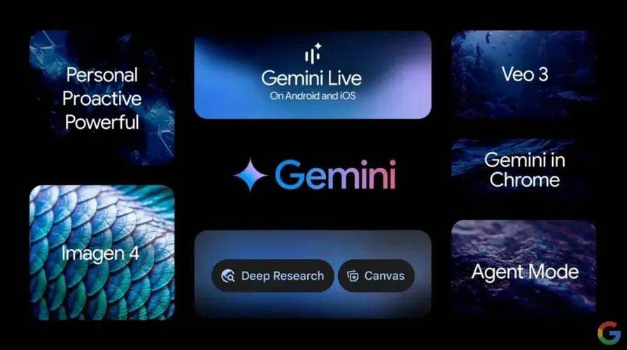 最新 veo3 接口_影视仓4k配置接口最新_最新接口叫什么