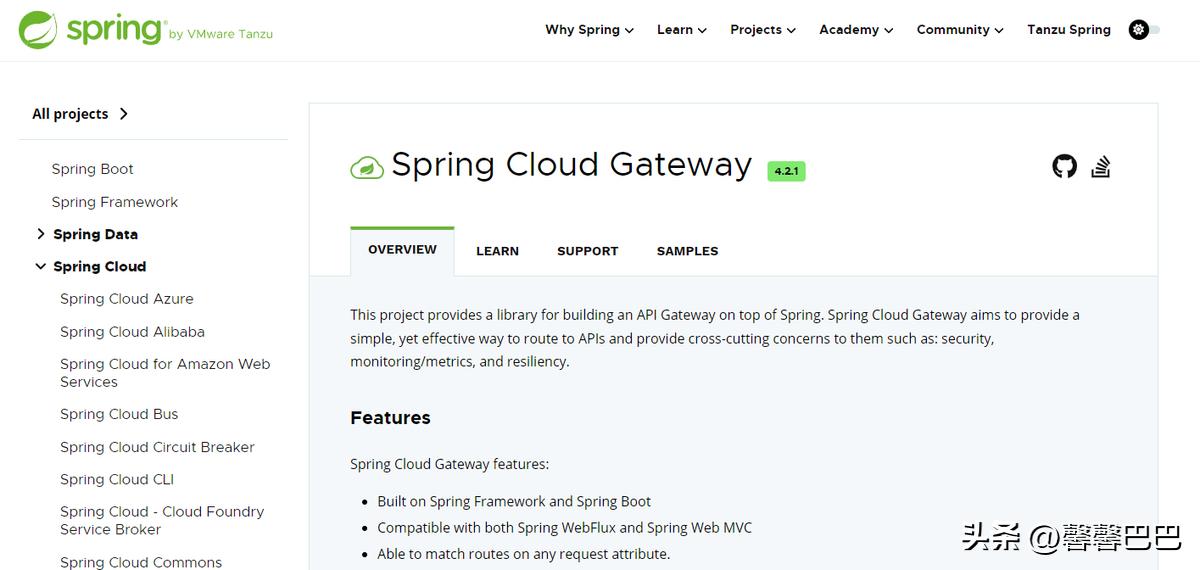 lua api_Apache APISIX vs Higress vs Spring Cloud Gateway comparison_API gateway selection criteria