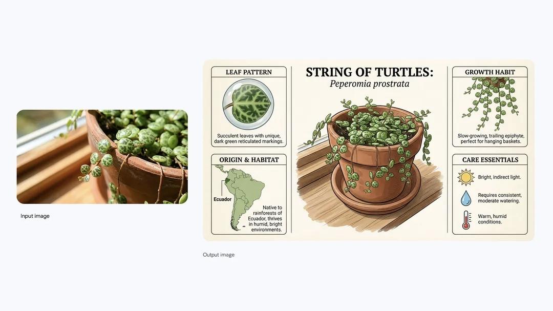 jimeng api_Nano Banana Pro Gemini 3 Pro Image AI图像生成工具市场比较